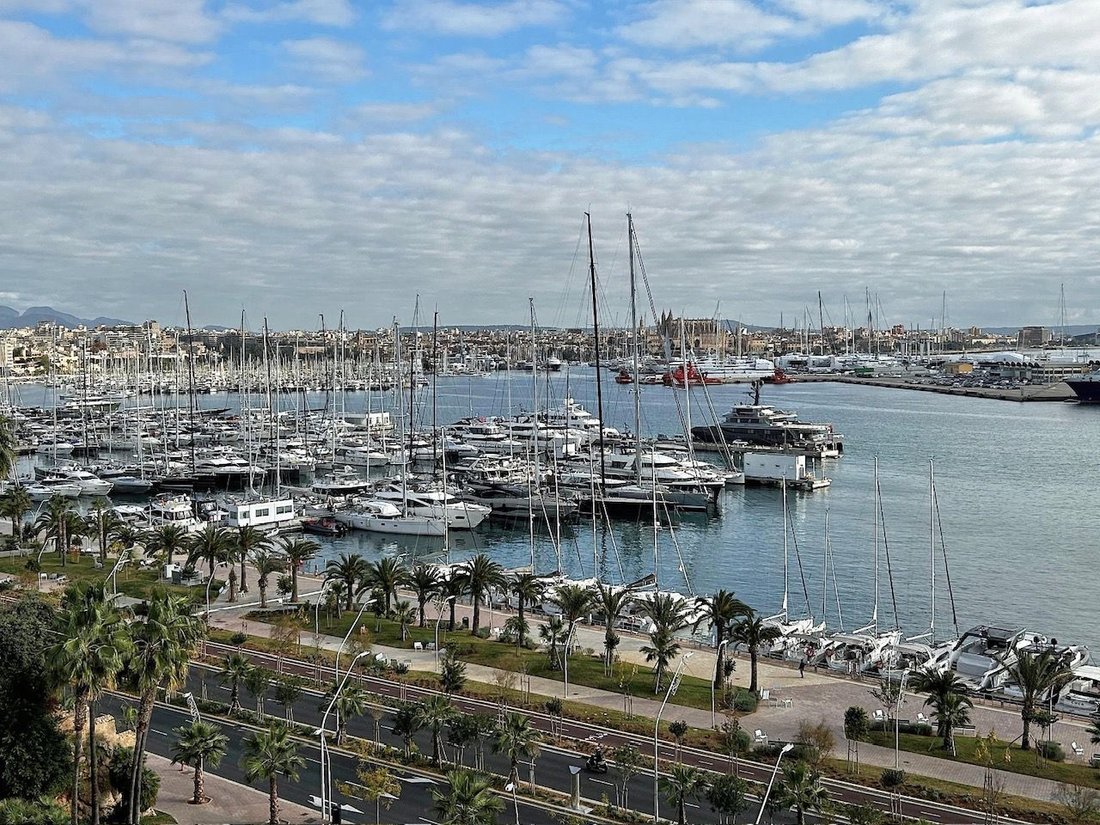 Apartment in Palma, Balearic Islands, Spain 1 - 16851386