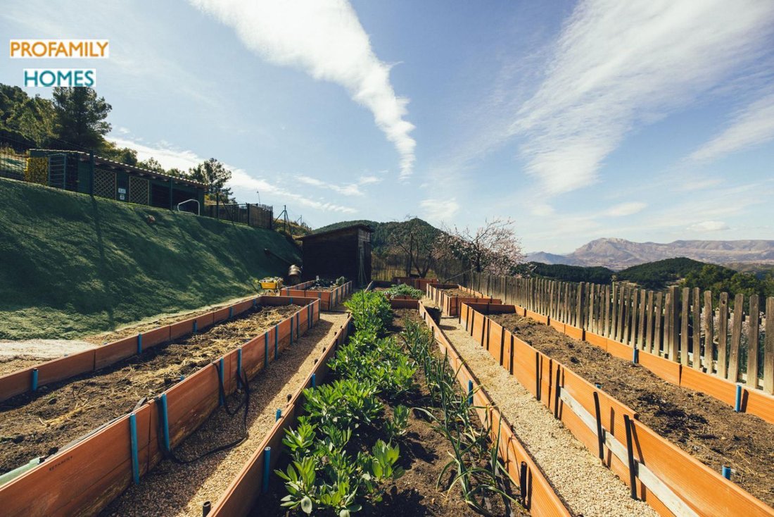 Chalet in la Torre de les Macanes / Torremanzanas, Valencian Community, Spain 5 - 16851179