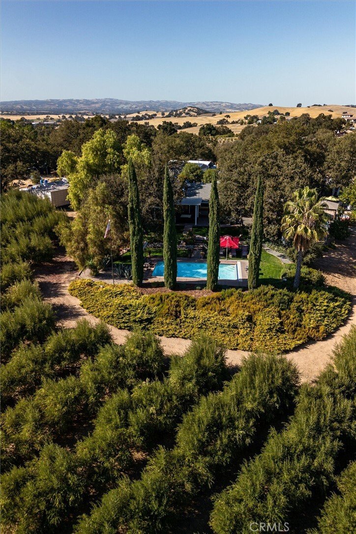 House in Templeton, California, United States 5 - 15491692