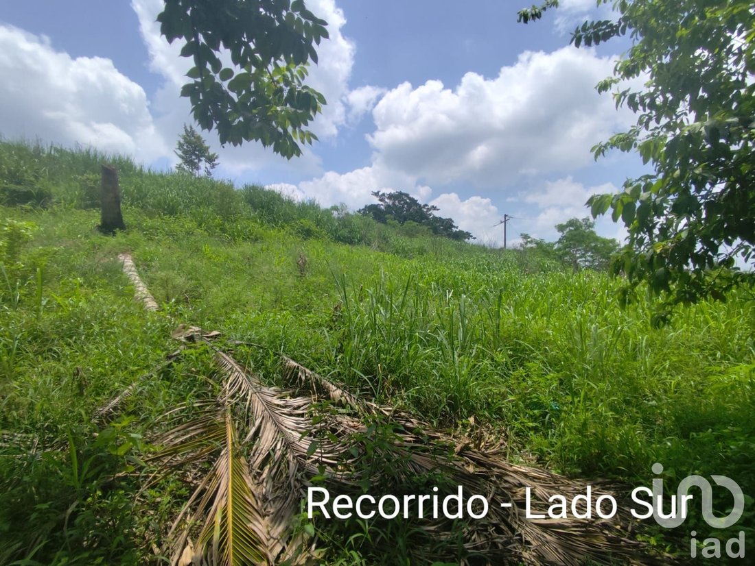 Land in Papantla de Olarte, Veracruz, Mexico 4 - 16867079