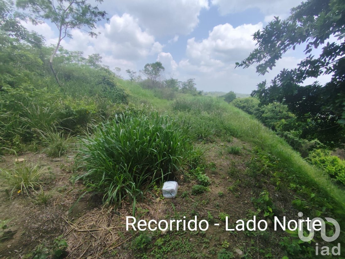 Land in Papantla de Olarte, Veracruz, Mexico 5 - 16867079