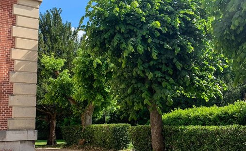 18th Century Castle And Its Walled Park