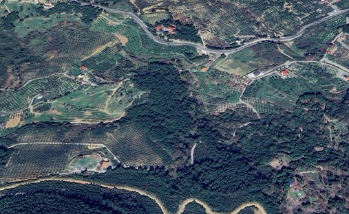 Azienda agricola in Provincia di Aydın, Turchia 1