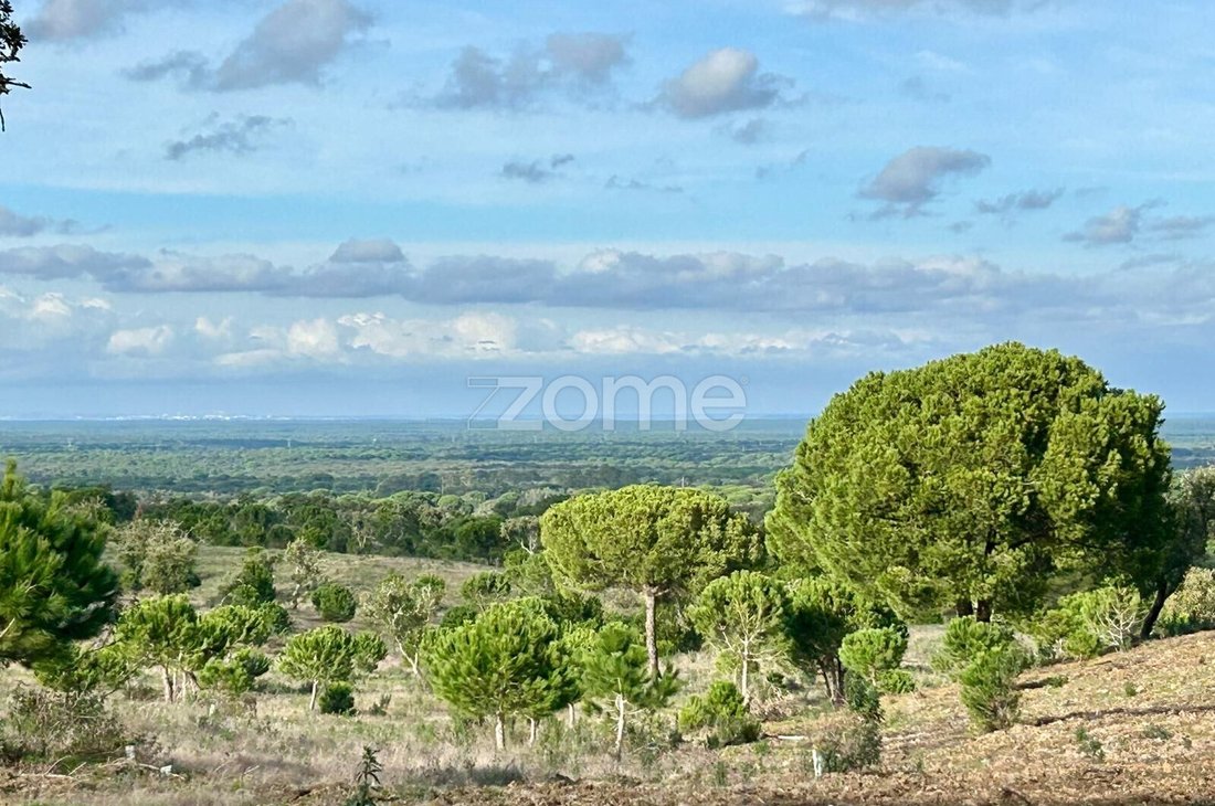 Land in Grandola e Santa Margarida da Serra, Setubal, Portugal 4 - 16863327