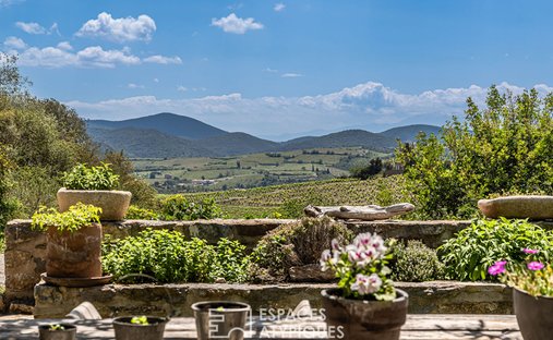 Castle for Sale in Narbonne, Occitanie, France