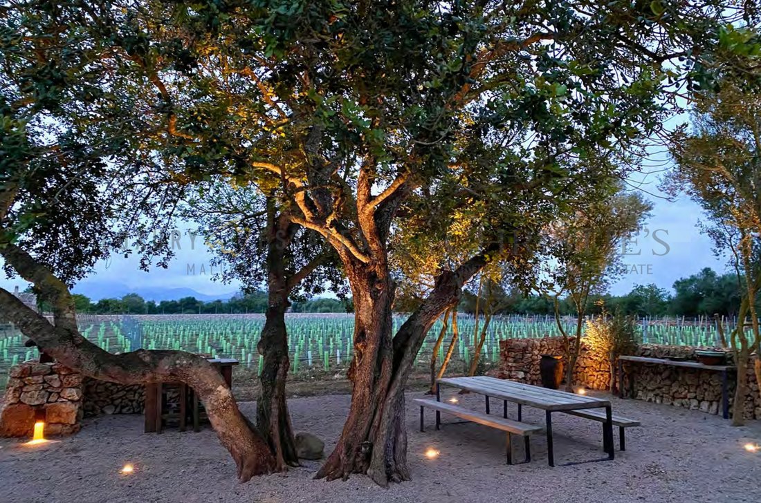 Finca in Porreres, Balearic Islands, Spain 4 - 16880913