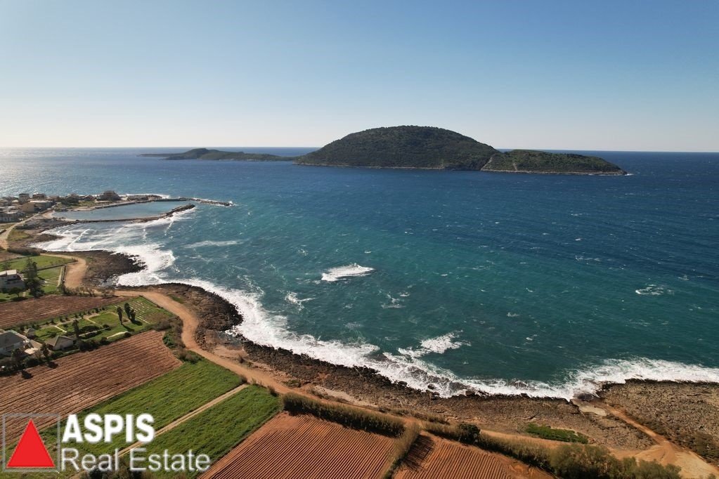 Land in Gargalianoi, Peloponnese, Western Greece and the Ionian, Greece 4 - 16860685