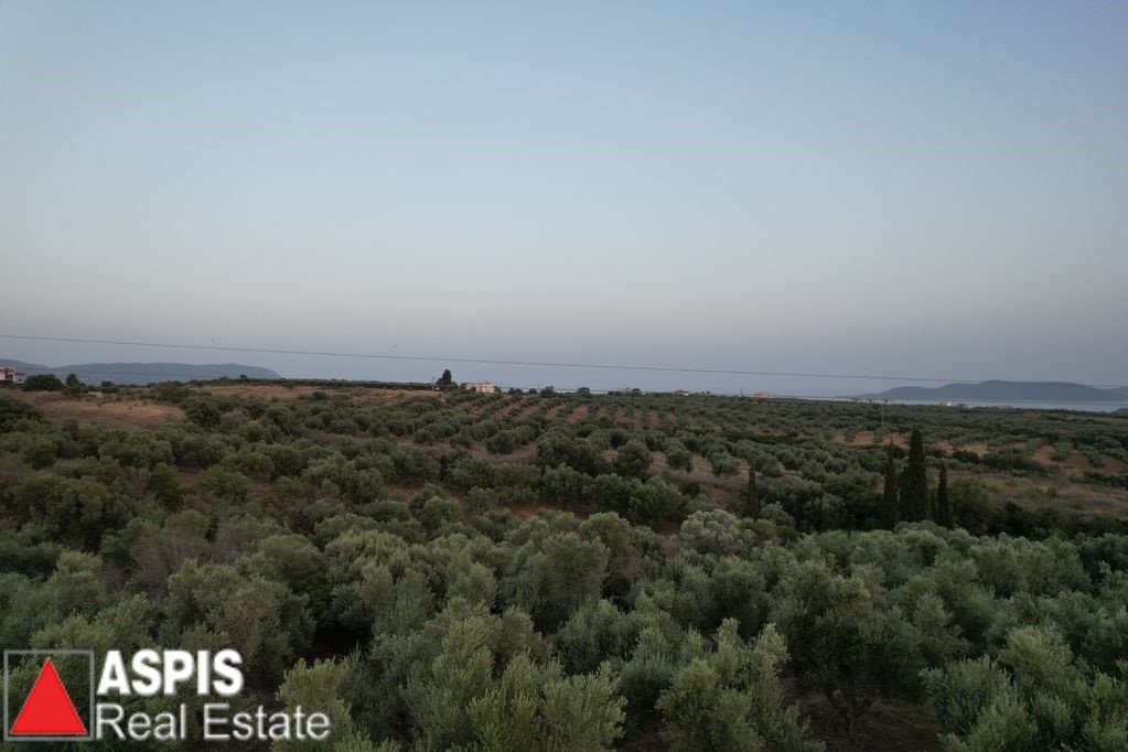 Land in Methoni, Peloponnese, Western Greece and the Ionian, Greece 3 - 16860691