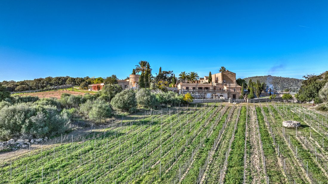Finca a Manacor, Isole Baleari, Spagna 3 - 16881075