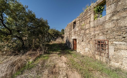 Farm Ranch in Boidobra, Castelo Branco, Portugal 1
