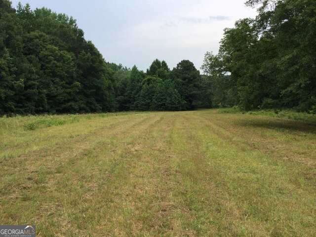 Farm Ranch in Fayetteville, Georgia, United States 3 - 16868617