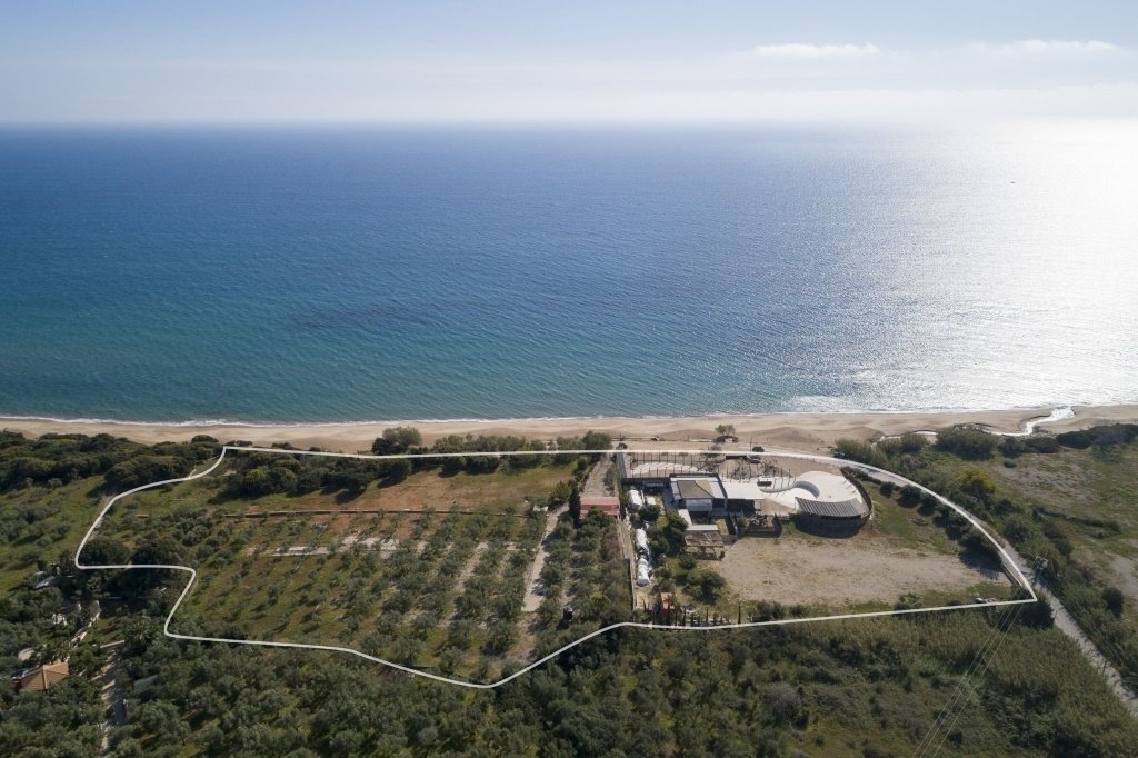 Land in Gargalianoi, Peloponnese, Western Greece and the Ionian, Greece 4 - 16860683