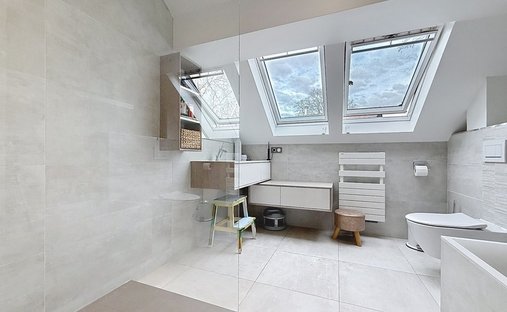 Castle for Sale in Saint-Julien-en-Genevois, Auvergne-Rhône-Alpes, France