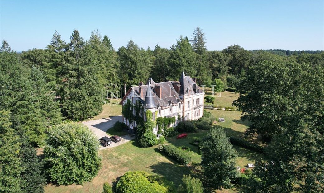 Castle for Sale in Salbris, Centre-Val de Loire, France