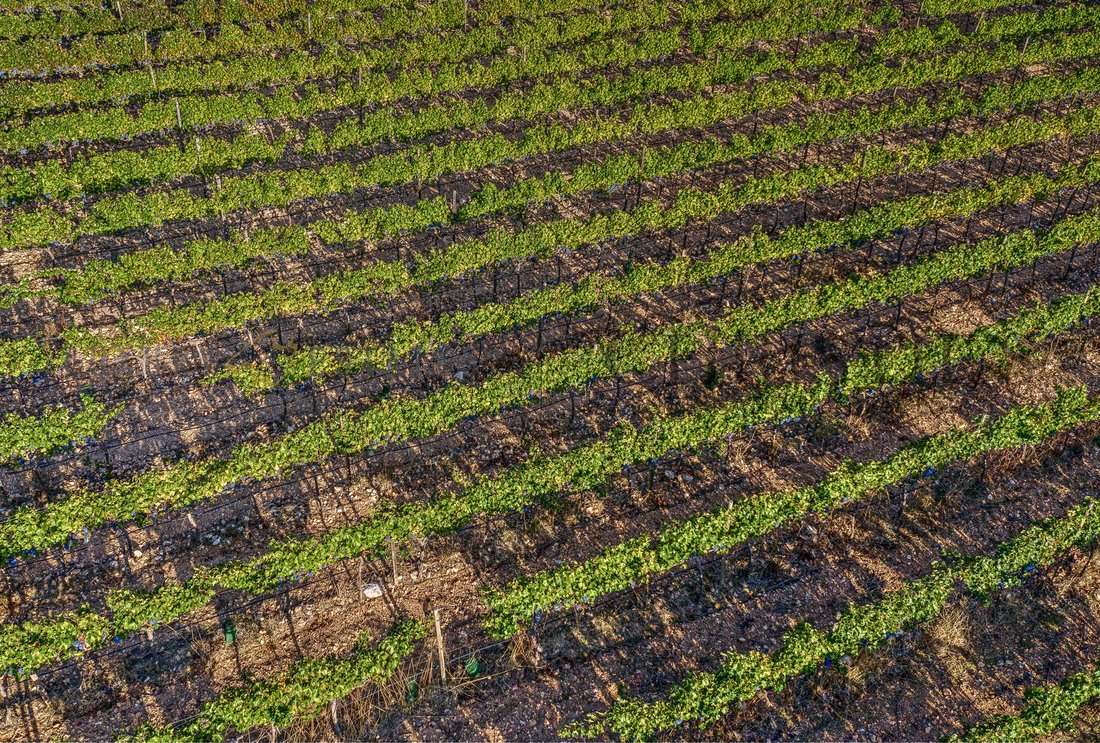 Finca a Palma di Maiorca, Isole Baleari, Spagna 3 - 16881073