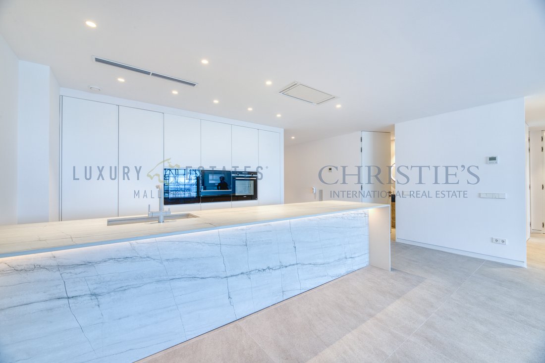 Apartment in Palma, Balearic Islands, Spain 4 - 16880960