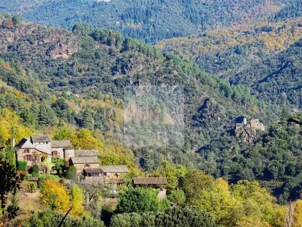 Estate in Saint-Germain-de-Calberte, Occitania, France 1 - 13875292
