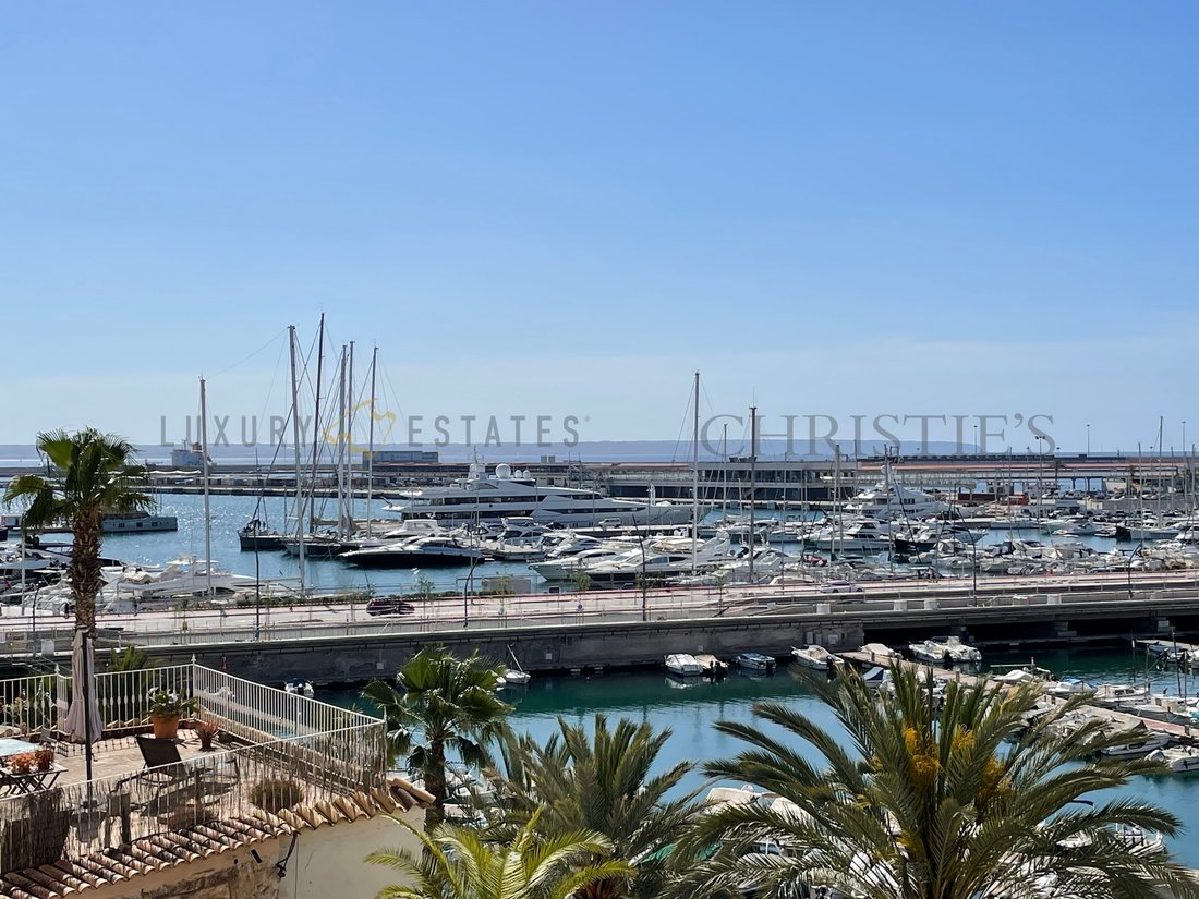 Apartment in Palma, Balearic Islands, Spain 2 - 16880960