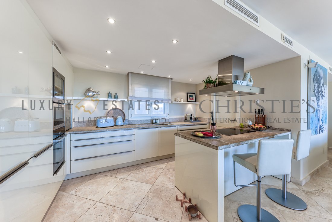 Apartment in Port d'Andratx, Andratx, Balearic Islands 4 - 16880122
