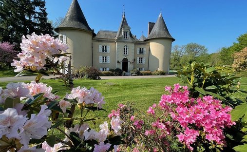 Castle for Sale in Couzeix, Nouvelle-Aquitaine, France