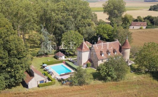 Chateau With Its Lodges For Sale On A Part Wooded 71 Acre Estate With Lake In South Touraine.