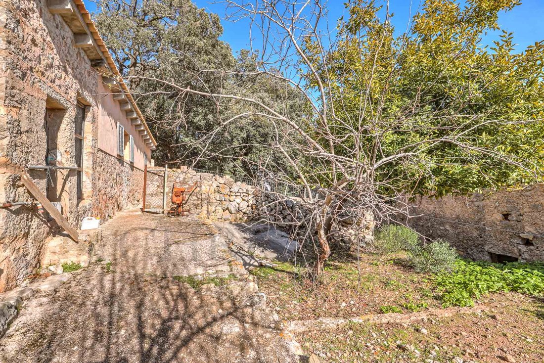 Finca a Pollença, Isole Baleari, Spagna 5 - 16880786