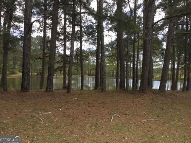 Farm Ranch in Fayetteville, Georgia, United States 2 - 16868618