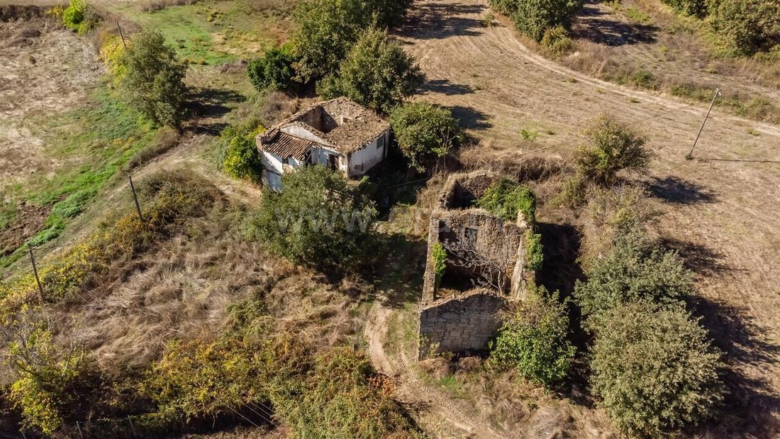 Farm Ranch in Boidobra, Castelo Branco District, Portugal 4 - 16868480