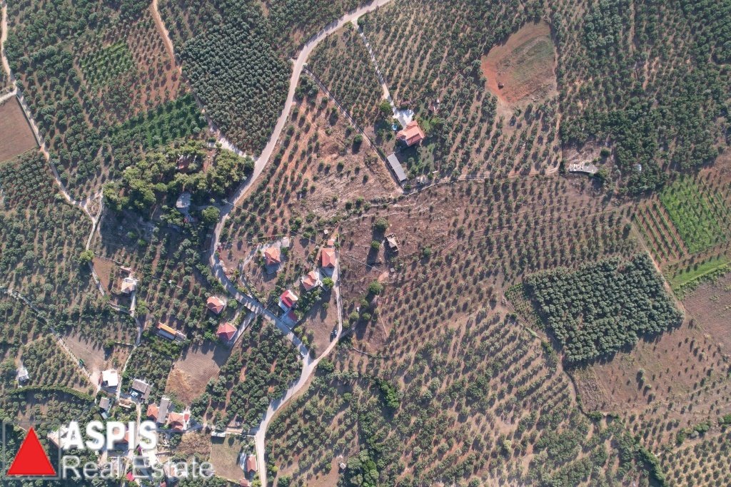 Land in Gargalianoi, Peloponnese, Western Greece and the Ionian, Greece 1 - 16860690