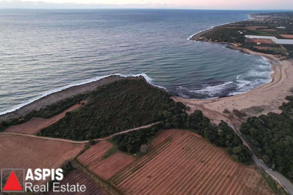 Land in Gargalianoi, Peloponnese, Western Greece and the Ionian, Greece 3 - 16860689