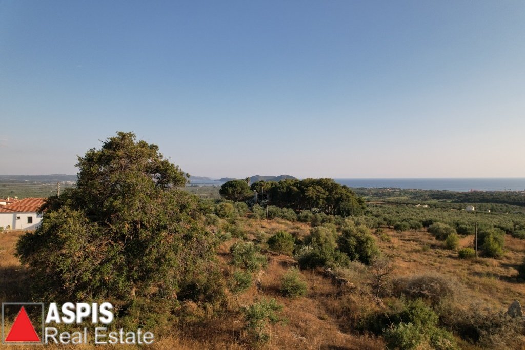 Land in Gargalianoi, Peloponnese, Western Greece and the Ionian, Greece 5 - 16860690
