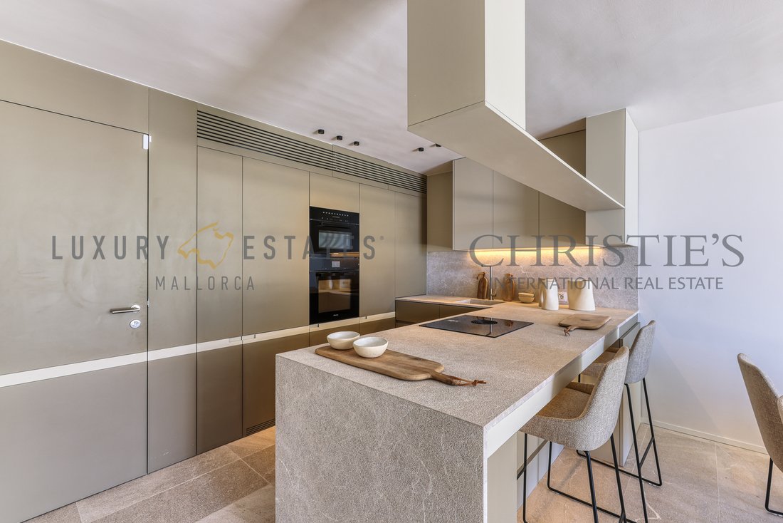 Apartment in Camp de Mar, Mallorca, Andratx, Balearic Islands 4 - 16880705