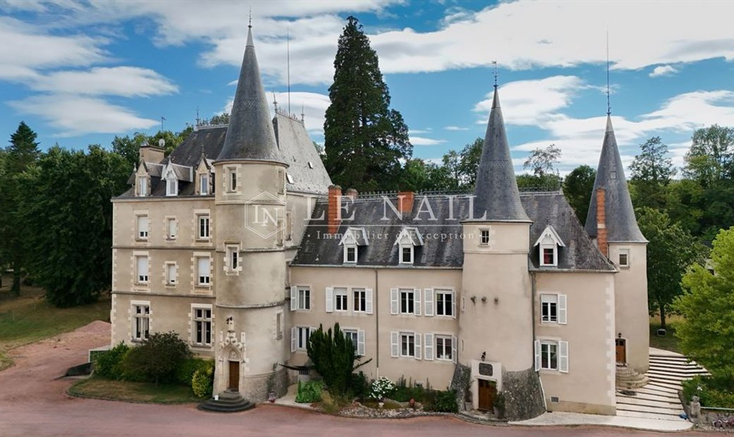 Beautiful 15the And 19th C., Restored, Chateau 17 Km From Vichy (Centre Of France)