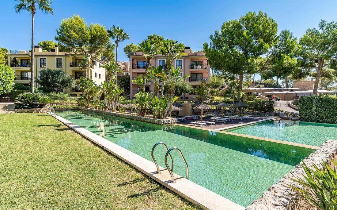 Apartment in Cala Fornells, Calvia, Balearic Islands 1 - 16880724