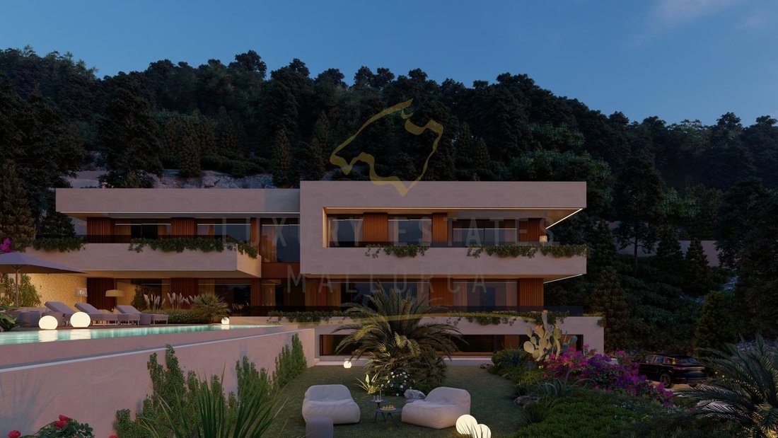 Land in Palma, Balearic Islands, Spain 5 - 16880740