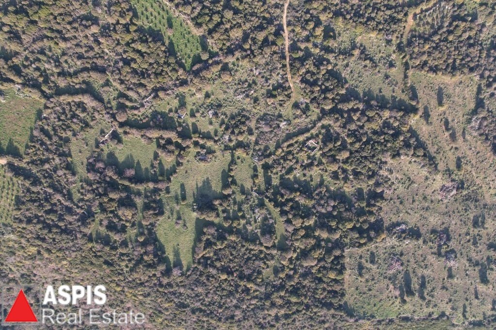 Land in Messini, Peloponnese, Western Greece and the Ionian, Greece 4 - 16860687