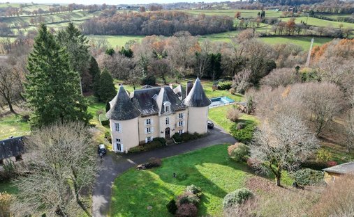 Castle for Sale in Couzeix, Nouvelle-Aquitaine, France