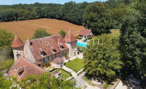 Chateau With Its Lodges For Sale On A Part Wooded 71 Acre Estate With Lake In South Touraine. - 4