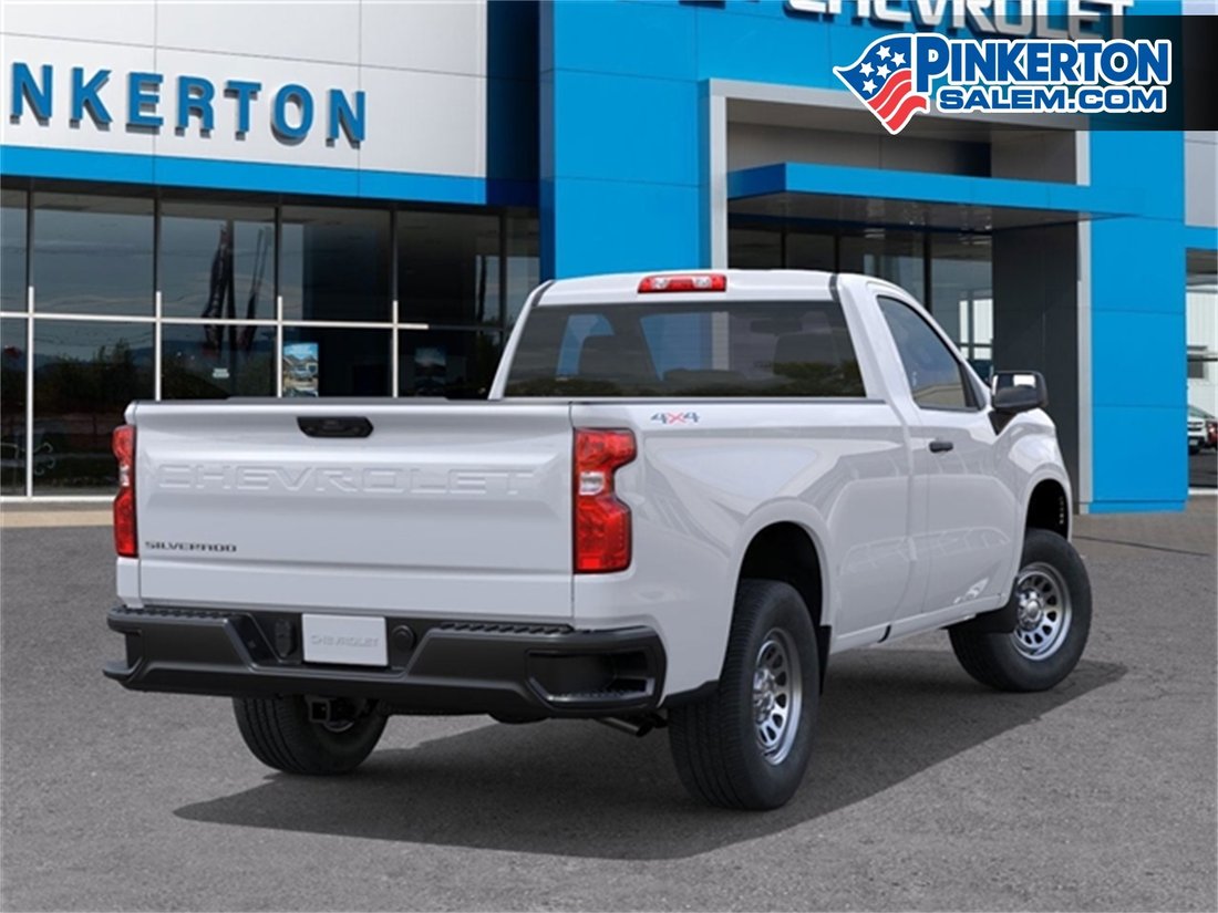 Pickup in Salem, VA, United States 5 - 16206817
