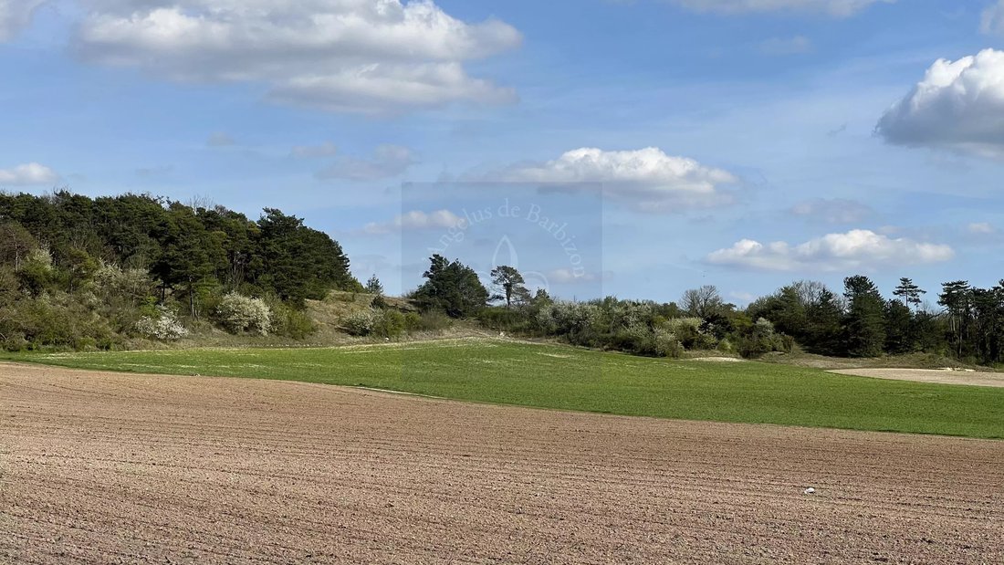 Estate in Centre Ville Nord Ouest, Fontainebleau, France 5 - 16863061