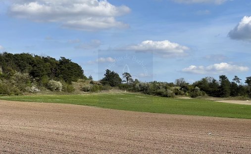 18th Century Castle And Its Walled Park