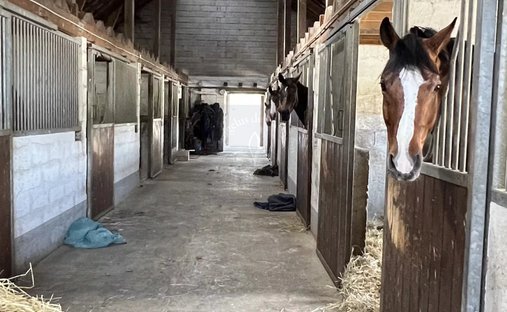 18th Century Castle And Its Walled Park