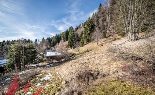 Land in Les Gets, Auvergne-Rhône-Alpes, France 1