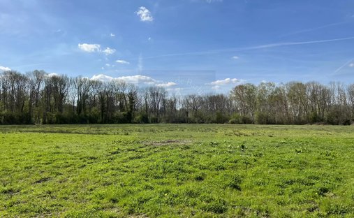 18th Century Castle And Its Walled Park