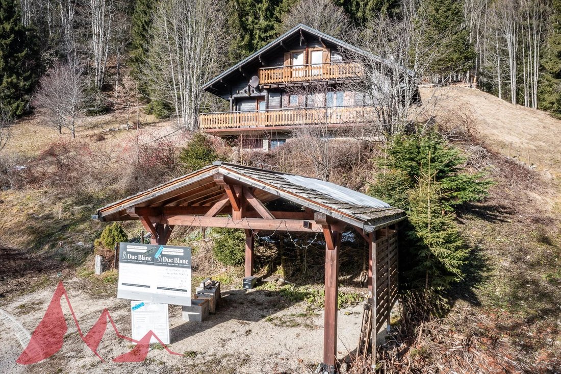 Chalet in Les Gets, Auvergne-Rhône-Alpes, France 1 - 16855788