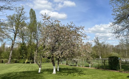 18th Century Castle And Its Walled Park
