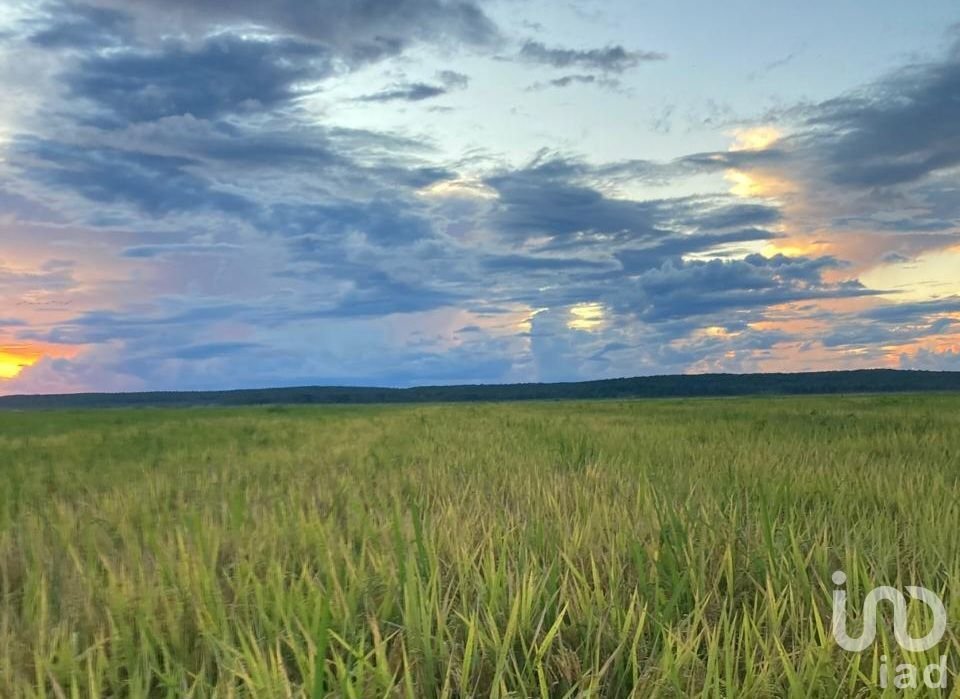 Land in Torno Largo, Campeche, Mexico 1 - 16855765