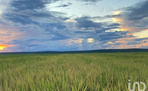 Land in Torno Largo, Campeche, Mexico 1