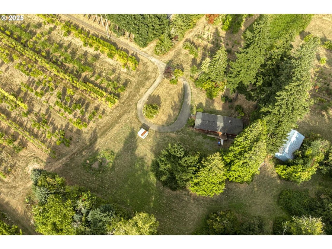 Land in Boring, Oregon, United States 3 - 16879226