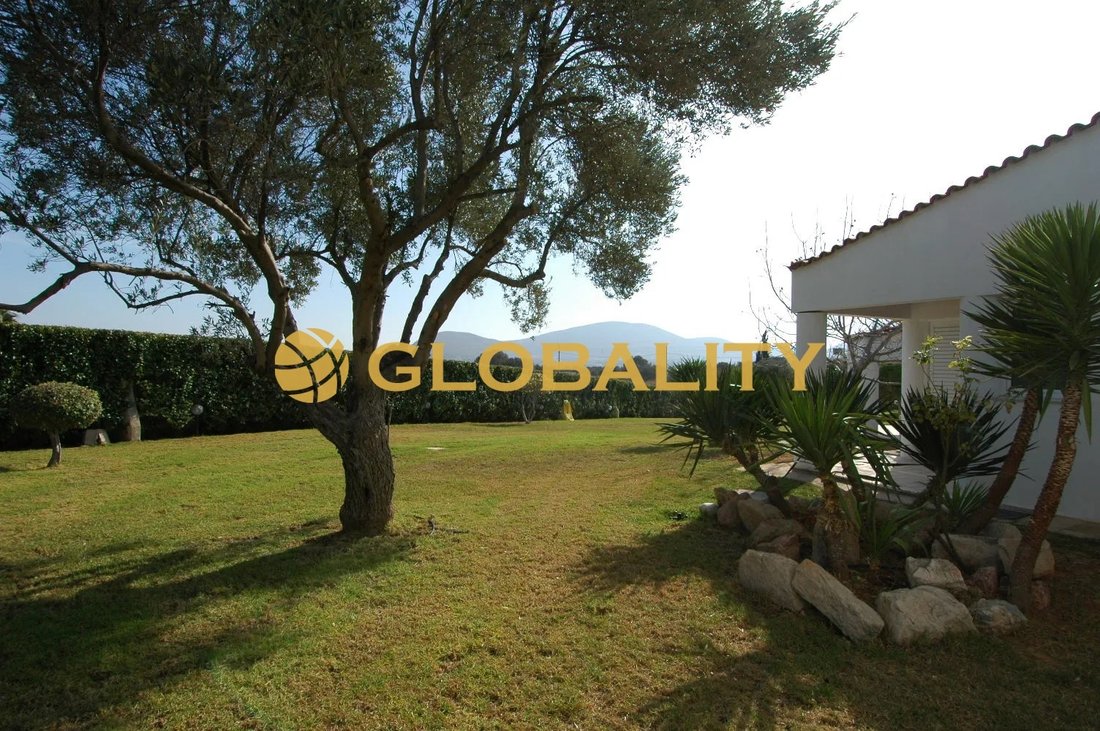 Villa in Markopoulo Mesogaias, Attica, Greece 2 - 16854669